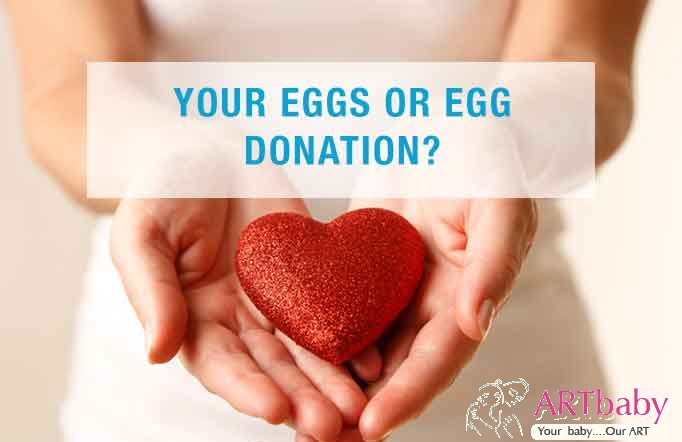 Egg donor surrogacy