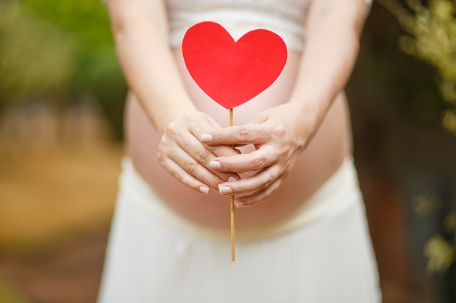 Surrogate mother (pregnant); Surrogacy success rate