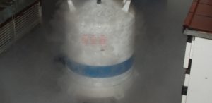 sperm preservation cost pic | Liquid nitrogen container