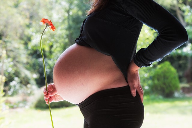 Pregnant women womb transplant possibility