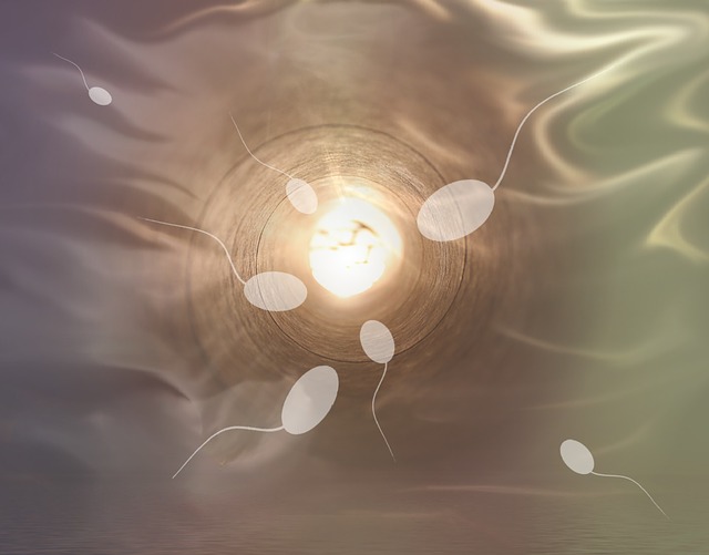 sperm fertility Climatic influence